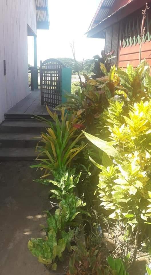 Sompong Sunset View Guest House Ban Dondét Δωμάτιο φωτογραφία